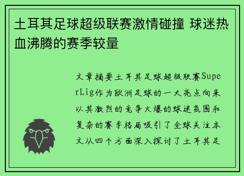 土耳其足球超级联赛激情碰撞 球迷热血沸腾的赛季较量